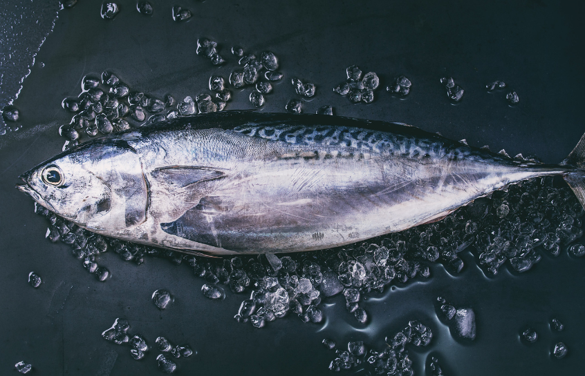 Ocean freight image